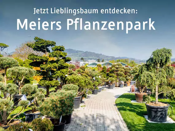 Pflanzenpark