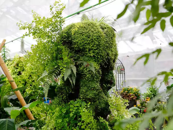 Bepflanzter Kalktuffstein von Grün Kreativ: Naturgewachsen, recycelt, behauen, geformt und gestaltet.