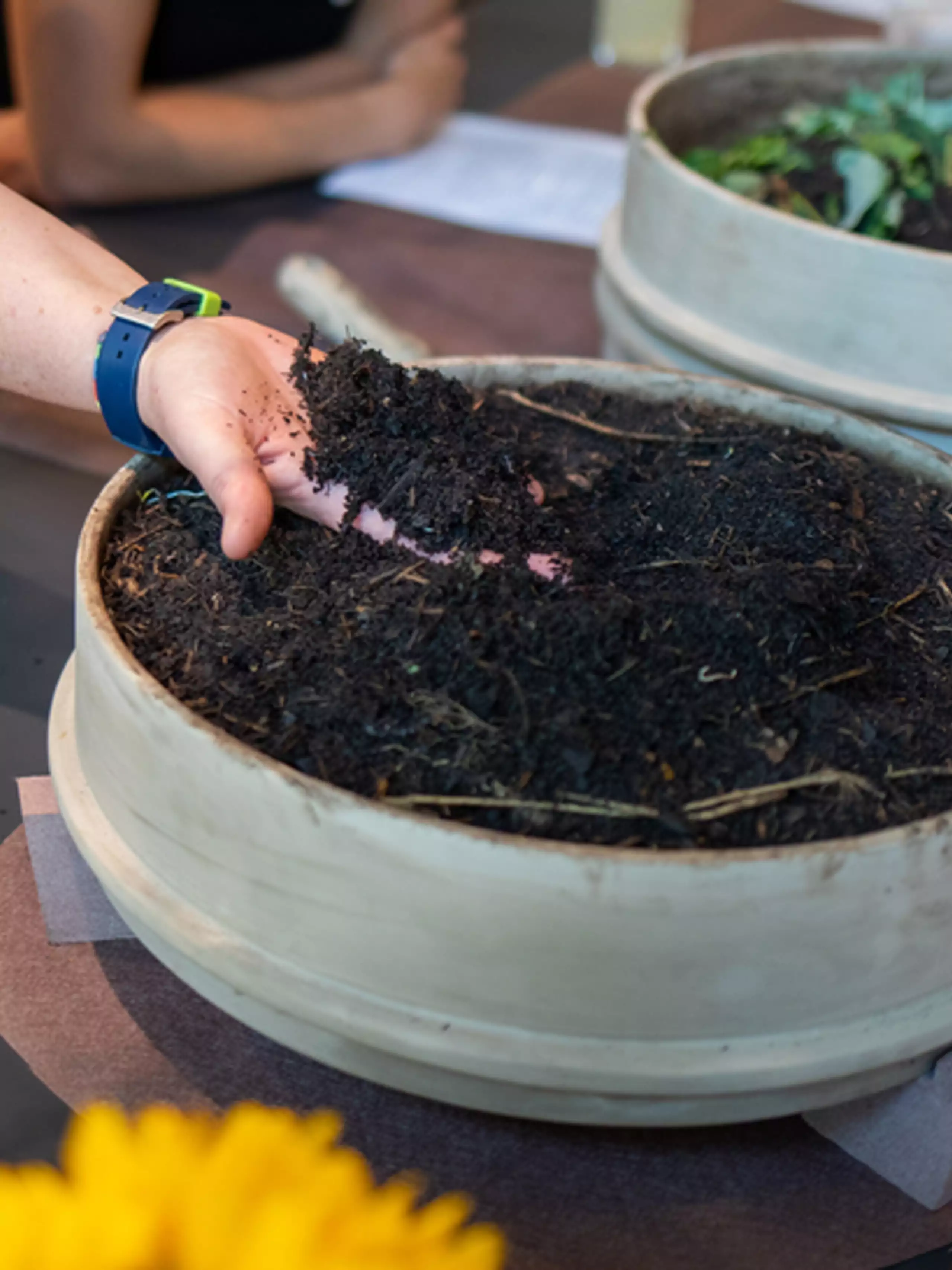 Kompostieren in Haus und Garten