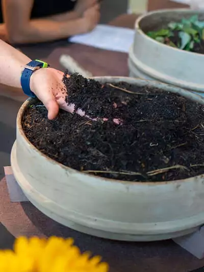 Kompostieren in Haus und Garten