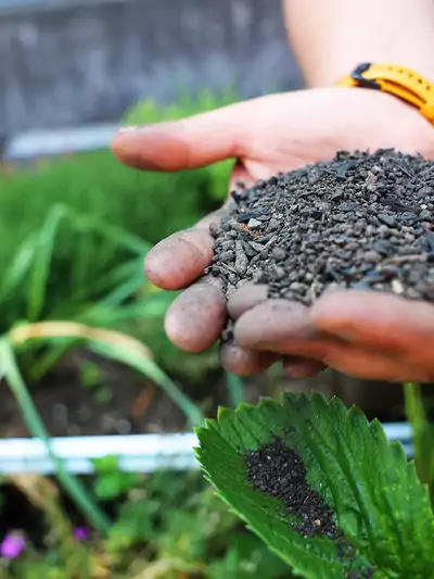 Pflanzenkohle – und Ihr Boden blüht auf