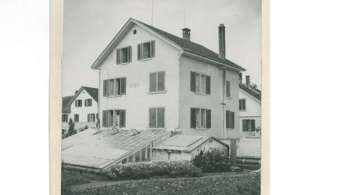 1894, im Haus «Erika» wurde die Gärtnerei Meier durch Ernst Meier senior gegründet