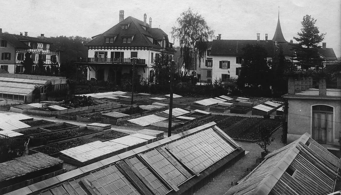 1930, alte Gärtnerei Tann