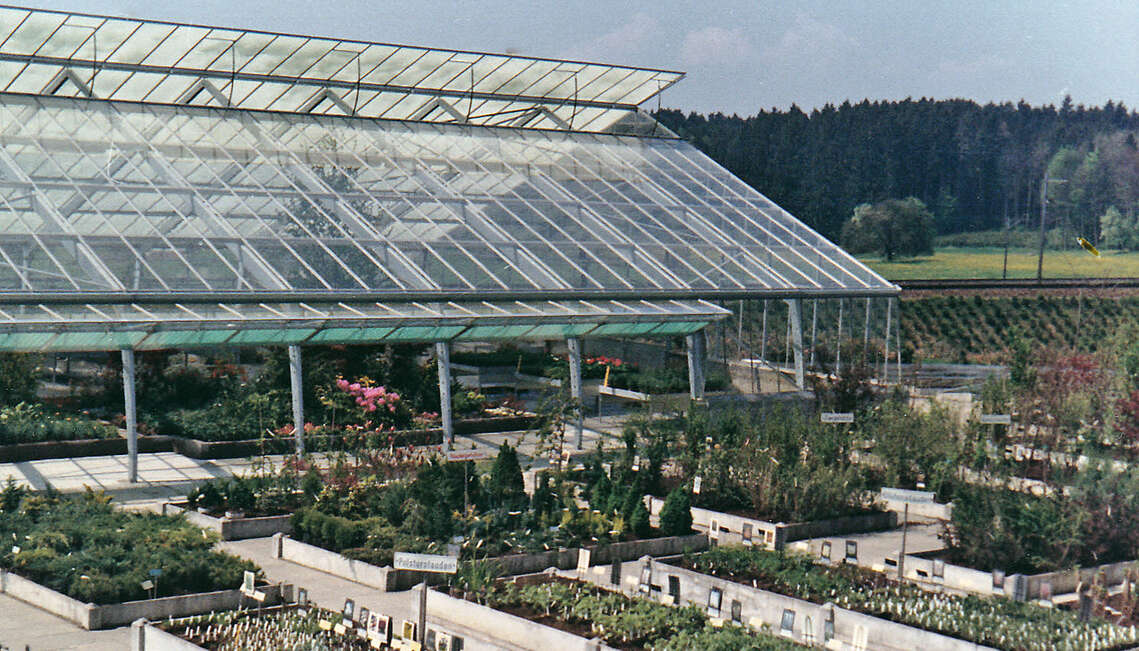 1972, Eröffnung Verkaufsgewächshaus «Paradies I»