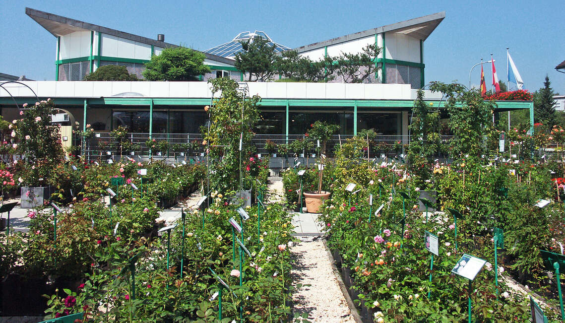 1993, Eröffnung des 2. Garten-Centers in Tann als Blütenform