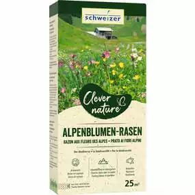 SAATGUT - Alpenblumen-Rasen