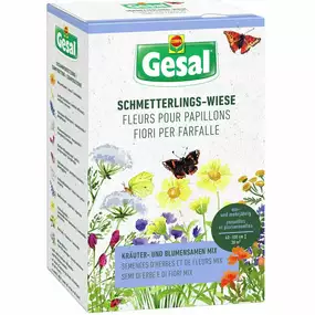 Schmetterlings-Wiese - Blumensamen-Mix