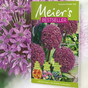 Die Garten-Center Broschüre «Meiers Bestseller» regelmässig per Post.