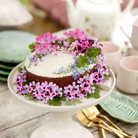 Essbare Blüten können zum Dekorieren von Kuchen, Torten, Desserts oder Marmeladen verwendet werden.