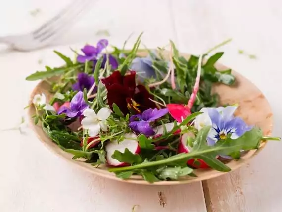 Essbare Blüten bringen Frische in Salate und Desserts.