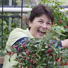 Lassen Sie sich von unserer Gemüsegärtnerin, Judith Hüppi beraten. Sie verrät Ihnen gerne Ihre Tipps für die besten Chili- und Tomatensorten.