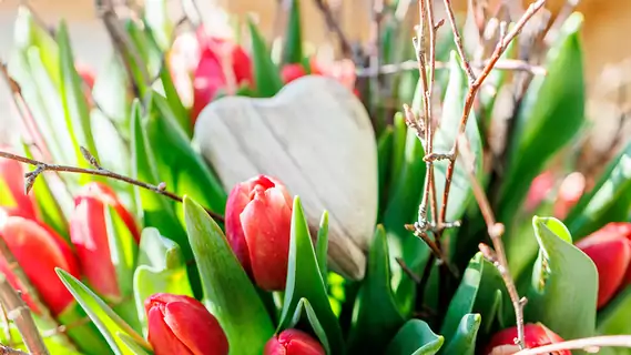 Sorgen für Frühlingsgefühle: Regionale Tulpen aus unserer Gärtnerei.