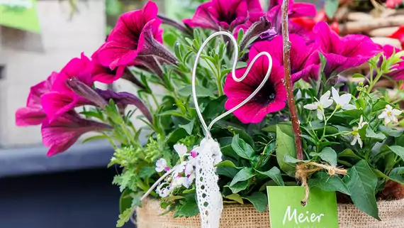 Muttertagsgeschenk: Bepflanzte Gefässe mit Mamas Lieblingsblumen