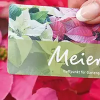 Meiers Geschenkkarten
