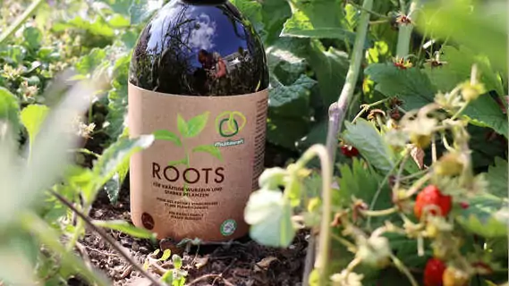 Multikraft Roots fördert das Wurzelwachstum und hilft gegen Hitzestress.