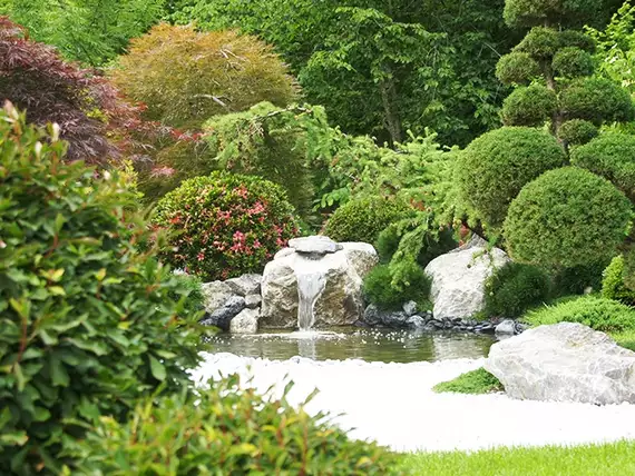  Asiatische Gartengestaltung mit fliessenden Formen und Wasser als prägendes Element.