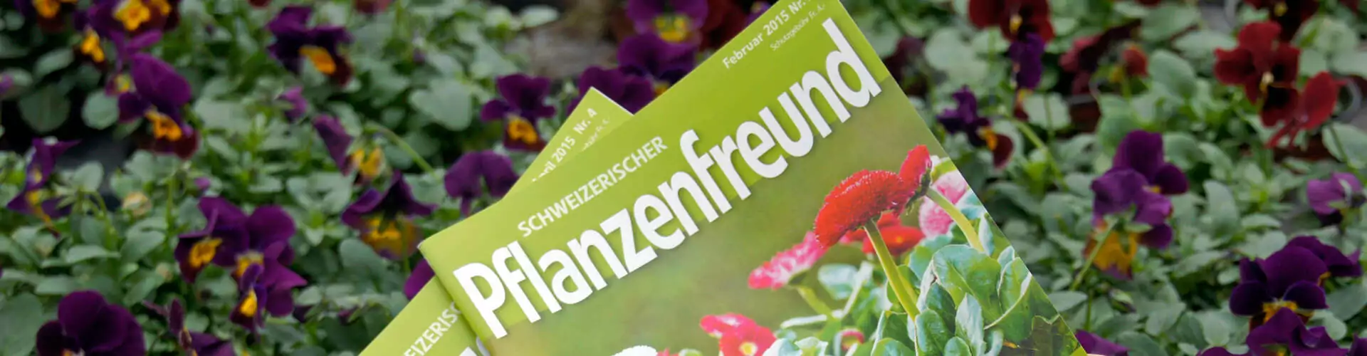 Schweizerischer Pflanzenfreund