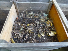 Kompost - das schwarze Gold des Gärtners