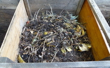 Kompost - das schwarze Gold des Gärtners
